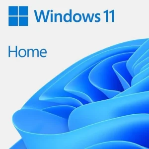 Window 11